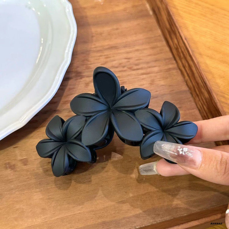 Matte Hair Clutcher pack of 1